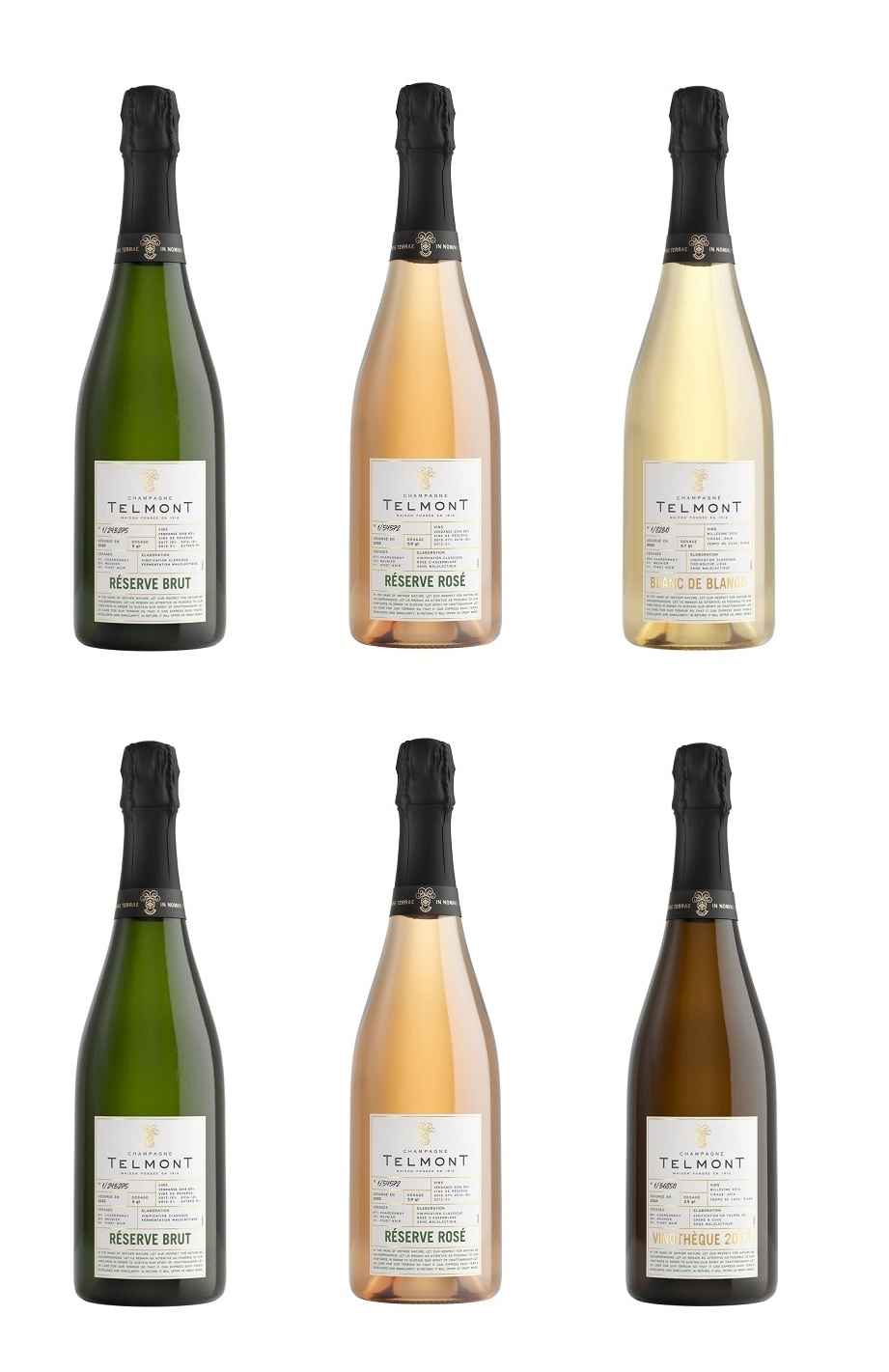 Telmont Champagne Mixed Case (6 x 75cl)